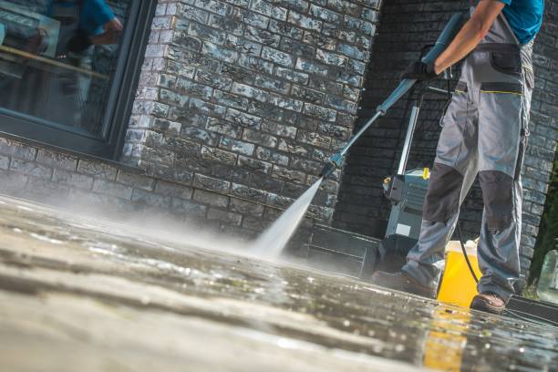 Best Animal Enclosure Cleaning  in Ashley, OH